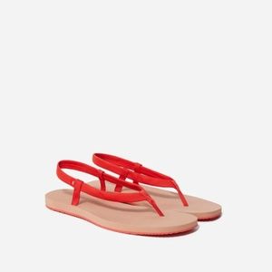 Everlane ReNew Red Strappy Sandals 7